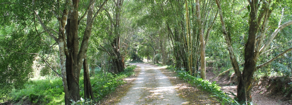 Národní park Khao Sok